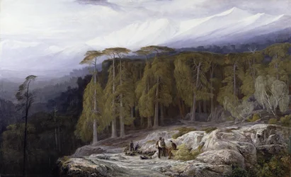 Skogen til Valdoniello, Korsika, 1869